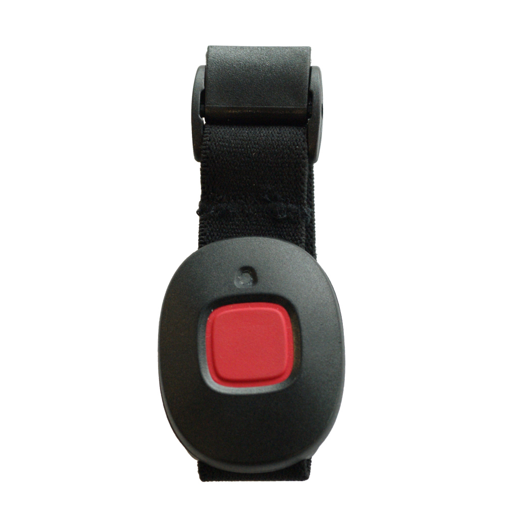 TWIG Remote Button
